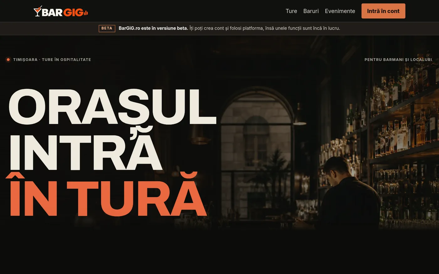 Screenshot of the BarGig website